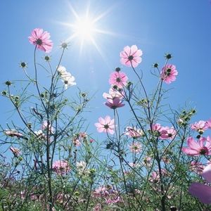 Feel free to send me offers! :) 💕💕💕